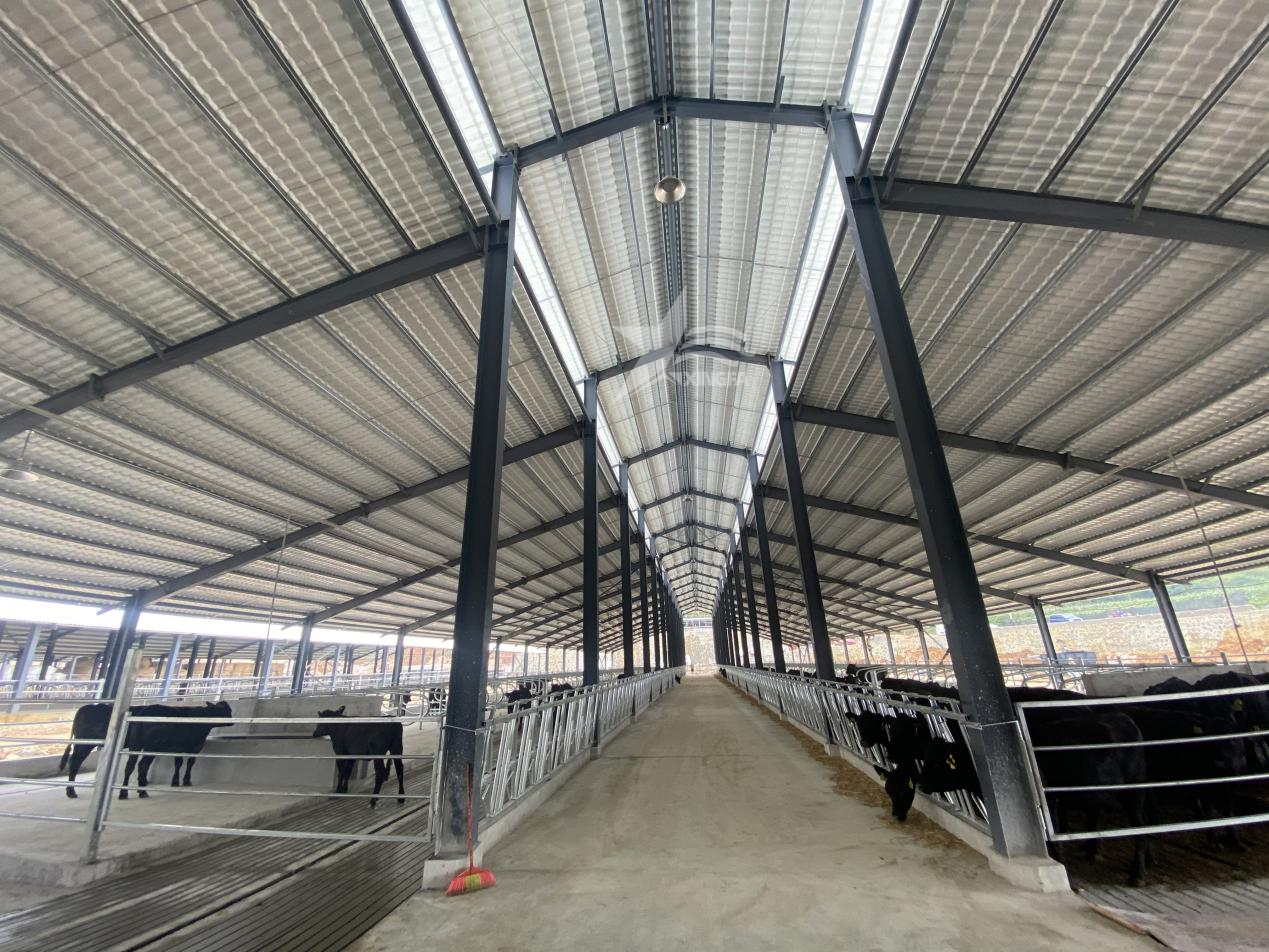 深圳PVC厂房瓦，养殖场工业厂房屋顶改造的优选产品
